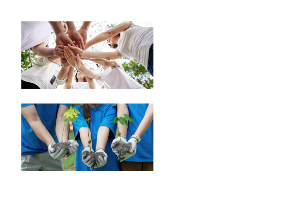 programa image